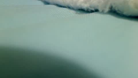 webbo809 online show from March 2026 04:33:02 PM