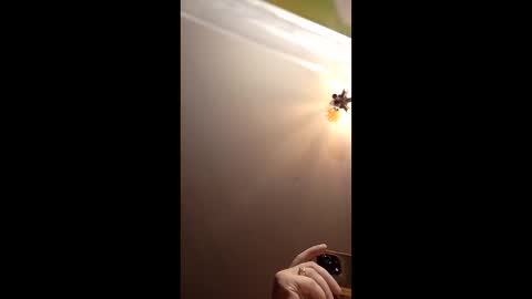 Snapshot of webiran chatting on March 2026 04:58:01 AM webiran online show from March 2026 04:58:01 AM