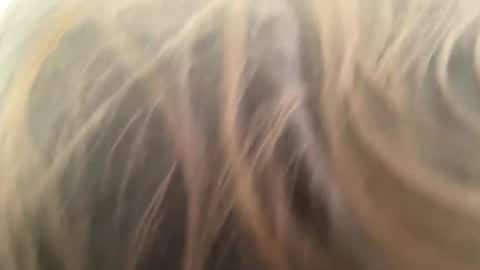 weedwacker43 online show from March 2026 03:25:01 PM