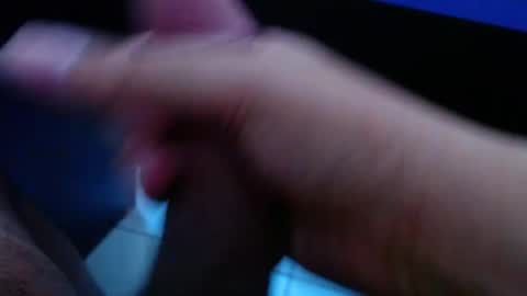 wellingtont online show from April 2026 03:37:01 AM