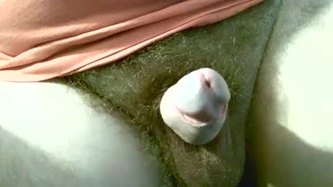 Snapshot of welshstuds chatting on September 2025 11:59:01 AM welshstuds online show from September 2025 11:59:01 AM