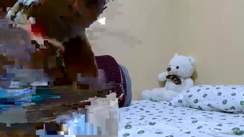 wetberry20 online show from June 2026 06:35:02 PM