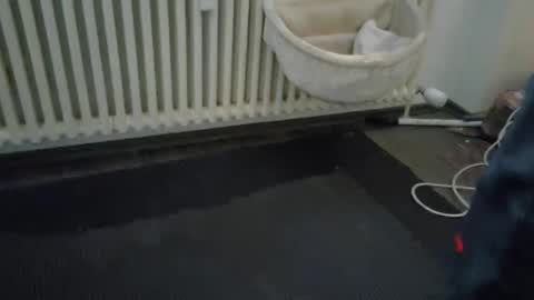 Snapshot of wetgerman2 chatting on March 2025 03:45:02 PM Wetgerman online show from March 2025 03:45:02 PM