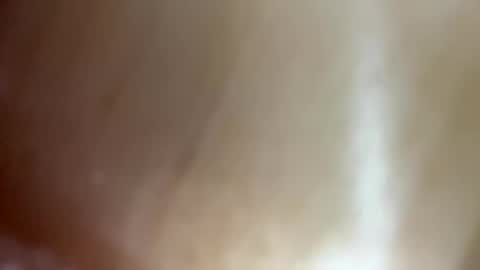 Snapshot of weyouandme chatting on December 2025 12:42:01 AM Randy online show from December 2025 12:42:01 AM