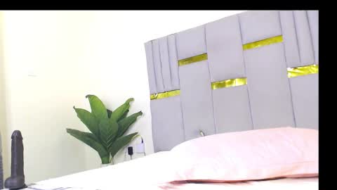 Snapshot of whinebby chatting on December 2025 07:39:01 AM Whinebby online show from December 2025 07:39:01 AM