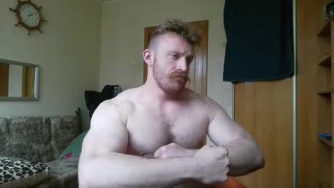WhiteBull online show from May 2026 11:20:01 AM