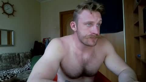 WhiteBull online show from May 2026 05:10:02 PM