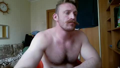 WhiteBull online show from May 2026 10:12:01 AM