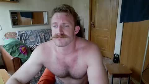 WhiteBull online show from July 2026 02:34:01 PM