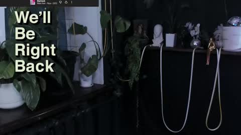 Gus online show from December 2025 08:49:01 PM