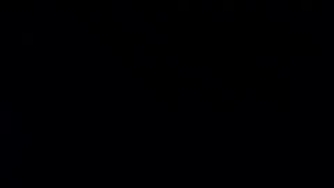 Snapshot of whitehead_lion chatting on January 2025 07:57:01 PM whitehead_lion online show from January 2025 07:57:01 PM