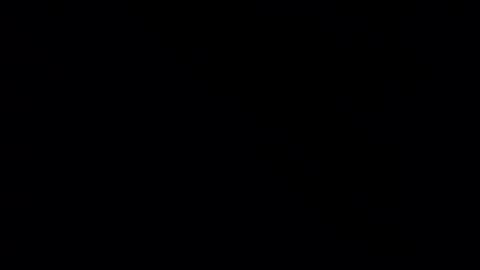 Snapshot of whitehead_lion chatting on February 2025 05:31:01 PM whitehead_lion online show from February 2025 05:31:01 PM