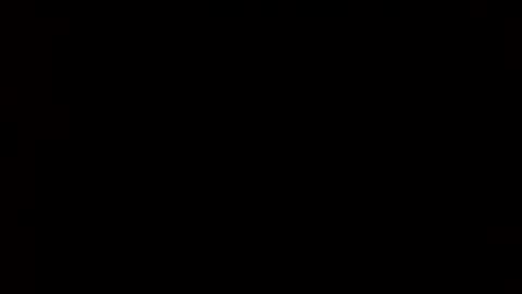 Snapshot of whitehead_lion chatting on February 2025 06:05:02 AM whitehead_lion online show from February 2025 06:05:02 AM