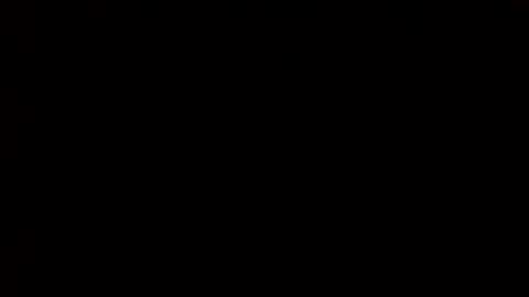 Snapshot of whitehead_lion chatting on March 2025 09:15:01 PM whitehead_lion online show from March 2025 09:15:01 PM