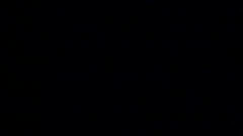 Snapshot of whitehead_lion chatting on January 2026 06:13:01 PM whitehead_lion online show from January 2026 06:13:01 PM