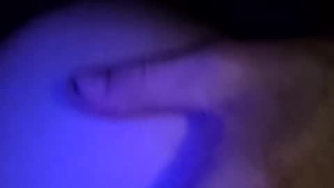 whodunnitwrangler online show from February 2026 05:55:01 AM