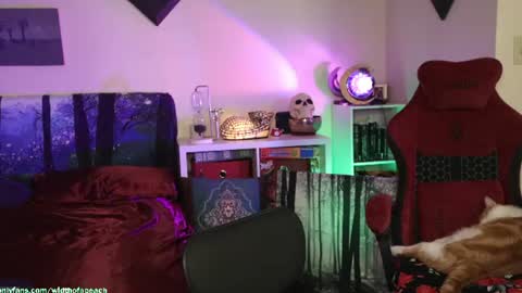Gretchen  Jimmy online show from July 2026 02:47:01 AM