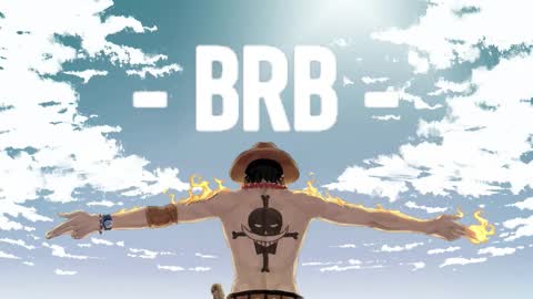 Wiedz online show from November 2025 03:49:01 AM