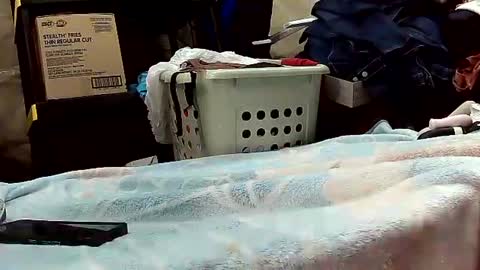 Snapshot of wife_phucker69 chatting on October 2025 12:16:01 PM Ryder Harder online show from October 2025 12:16:01 PM