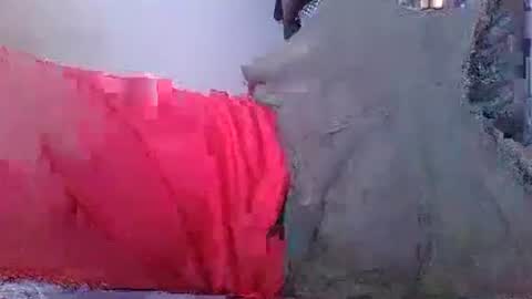 wild lemont online show from October 2025 08:23:02 AM