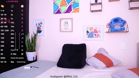 Snapshot of wild_col chatting on January 2025 10:49:01 AM wild_col online show from January 2025 10:49:01 AM