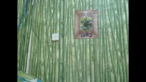 Snapshot of wild_pamela chatting on December 2024 06:01:01 AM loving trans Pamela online show from December 2024 06:01:01 AM