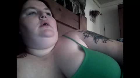 Wildforlife online show from December 2024 04:26:02 AM