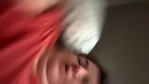 Wildforlife online show from January 2025 02:06:01 PM