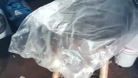 wildman6 online show from November 2025 08:44:01 PM