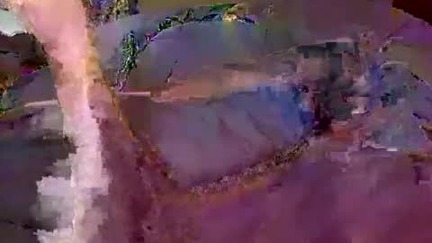 Snapshot of wildmanbobby chatting on February 2026 05:02:01 PM bobby banks online show from February 2026 05:02:01 PM