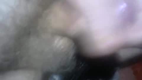 Snapshot of willcam22 chatting on April 2026 03:08:01 PM willcam22 online show from April 2026 03:08:01 PM