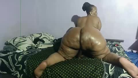 wilmaassylum online show from January 2025 03:13:02 PM