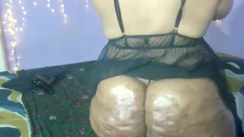 wilmaassylum online show from September 2025 06:02:01 AM