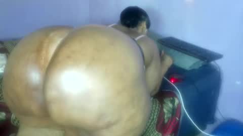 wilmaassylum online show from November 2025 07:51:01 AM