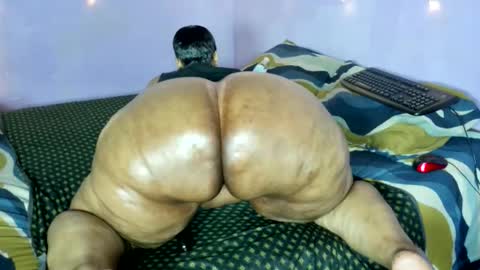 wilmaassylum online show from November 2025 07:18:01 AM