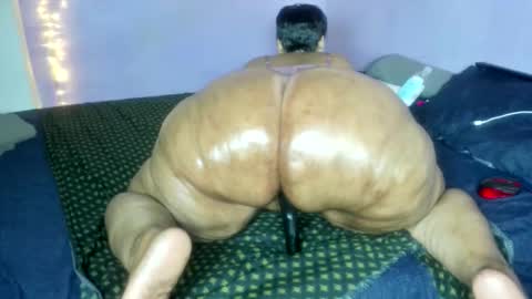 wilmaassylum online show from December 2025 06:19:01 AM