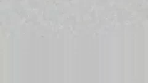 wolfsand online show from June 2026 06:54:01 PM
