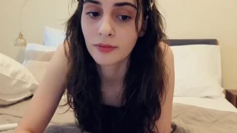 Stia online show from July 2026 03:21:02 PM