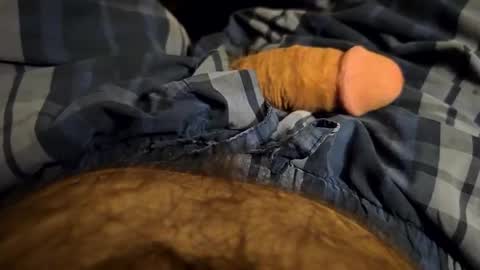 Snapshot of woodsman3tn chatting on May 2026 01:58:02 AM woodsman3tn online show from May 2026 01:58:02 AM