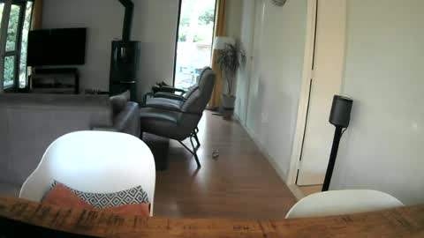 woodwurm and Snoeske online show from June 2026 05:12:01 AM
