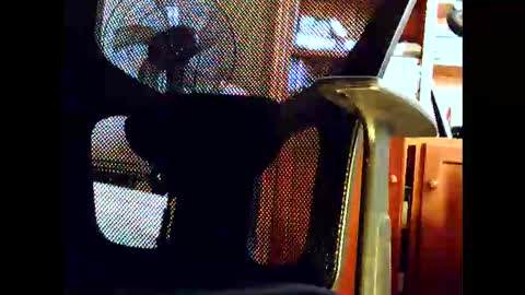 woodyforyou2 online show from January 2026 12:47:02 AM