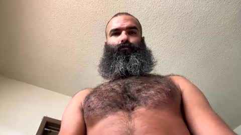 Snapshot of woof_wolf37 chatting on November 2025 04:42:01 PM woof_wolf37 online show from November 2025 04:42:01 PM