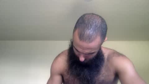 woof_wolf37 online show from April 2026 03:13:01 PM