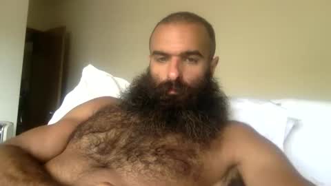 woof_wolf37 online show from April 2026 05:43:02 PM
