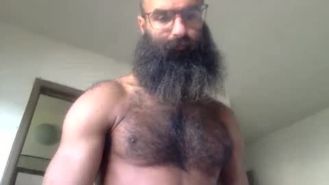 woof_wolf37 online show from April 2026 03:28:02 PM
