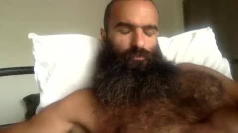 woof_wolf37 online show from May 2026 03:28:02 PM