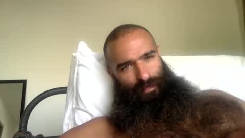 woof_wolf37 online show from May 2026 03:52:01 PM