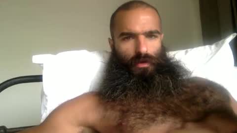 woof_wolf37 online show from May 2026 03:06:02 PM