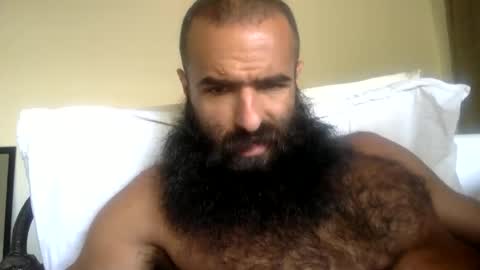 woof_wolf37 online show from May 2026 04:04:02 PM