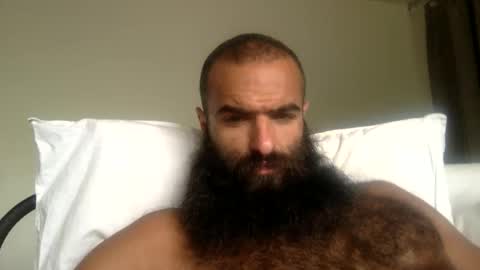 woof_wolf37 online show from May 2026 03:53:02 PM